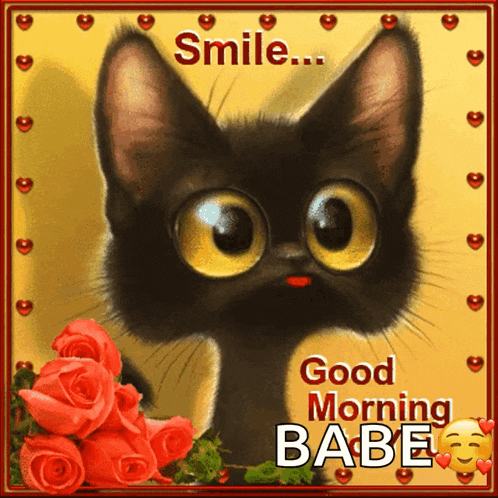 a picture of a black cat with roses and a good morning babe message