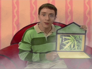 a man in a green striped shirt is holding an envelope with a picture of a marijuana plant in it