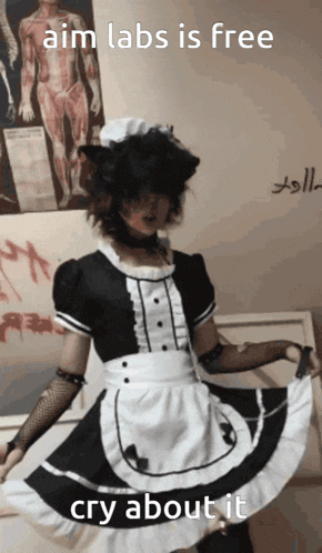 a person dressed as a maid with a caption that says aim labs is free cry about it