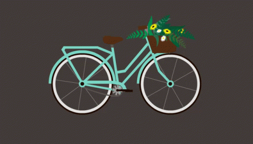 Bicycle Flowers GIF - Bicycle Flowers GIFs
