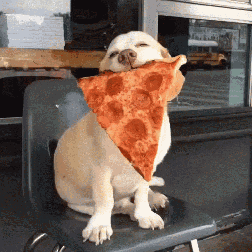 Dog Pizza GIF - Dog Pizza Satisfied GIFs