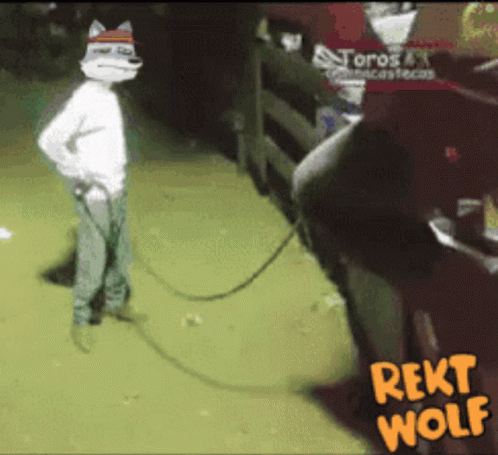 Rekt Wolf Hit By Bull GIF - Rekt Wolf Hit By Bull GIFs