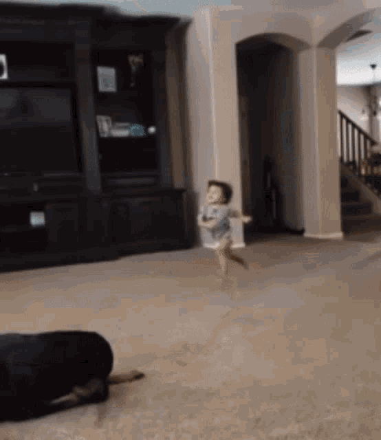 a baby is running in a living room while a dog lays on the floor