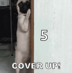 Cover Up Cover Yourself Up GIF - Cover Up Cover Yourself Up Hide GIFs
