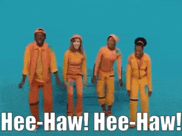 4 Square Hee Haw GIF - 4 Square Hee Haw Donkey GIFs