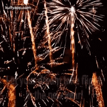 a bunch of fireworks are exploding in the night sky
