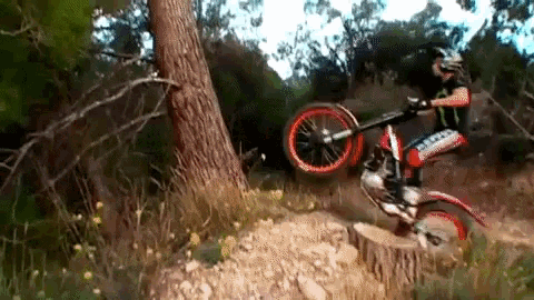 Motorcycle Riding GIF