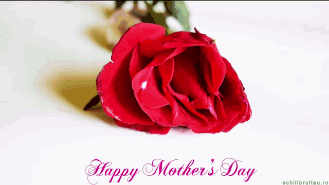 a red rose sits in front of a happy mother 's day message