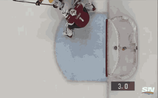 Panthers Goal GIF - Panthers Goal Interference GIFs