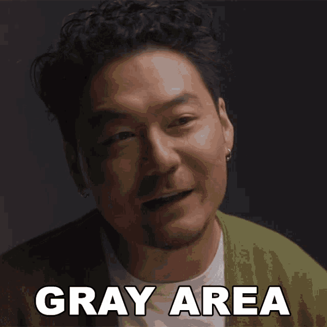 a man in a green sweater says " gray area "