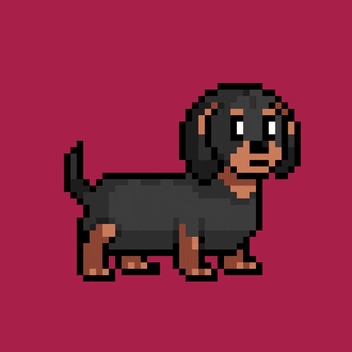 a pixel art drawing of a dachshund with its eyes closed