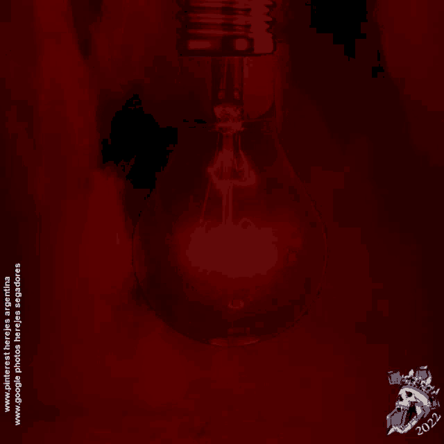 a red background with a skull and the year 2022 on the bottom