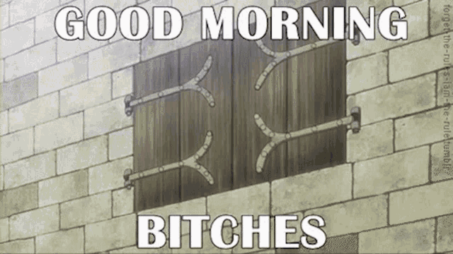 a picture of a brick wall with a wooden door that says good morning bitches