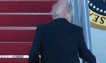Donald Trump Hair GIF - Donald Trump Hair GIFs