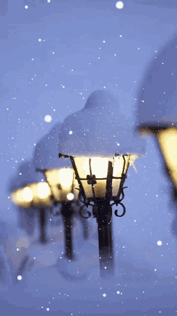 a row of lanterns are covered in snow