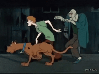 Scooby Doo Shaggy GIF