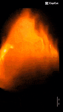 a screen shot of a fire with the caption cap cut