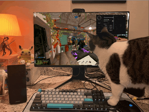 a cat standing in front of a computer monitor with a game on the screen