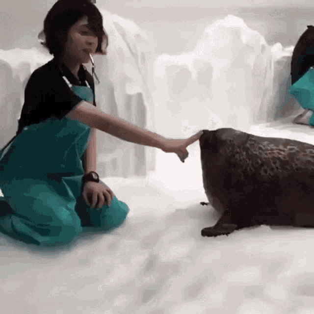 a woman is petting a seal while kneeling down in the snow