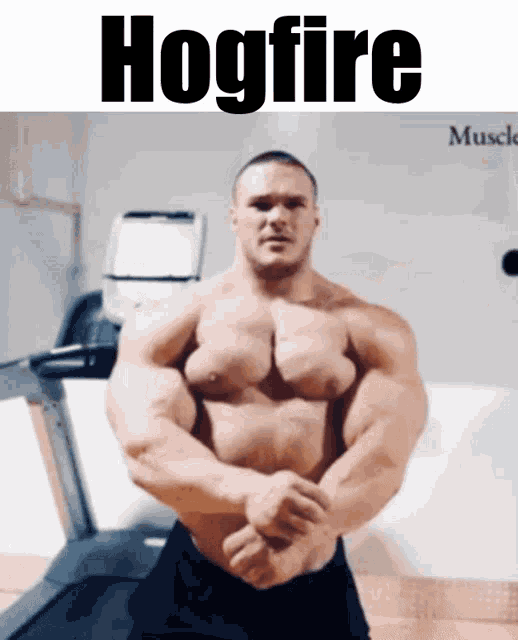 Hogfire Muscles GIF - Hogfire Muscles Strong GIFs