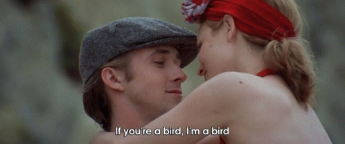 Birds GIF - The Notebook Drama Romance GIFs
