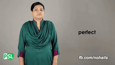 Perfect Pakistan Sign Language GIF - Perfect Pakistan Sign Language Nsb GIFs