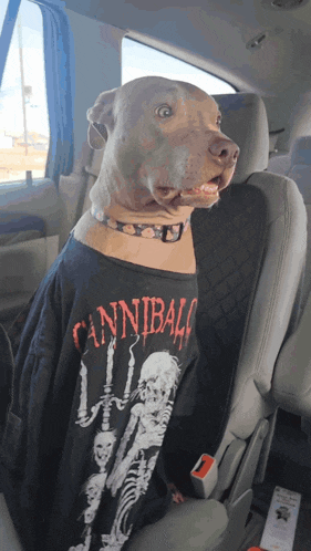 a dog wearing a cannibal shirt is sitting in a car seat