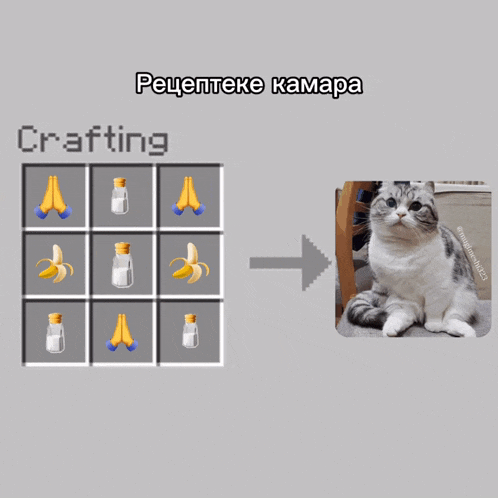 a picture of a cat is next to a crafting table