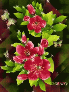 Red Flowers GIF - Red Flowers Illuminating GIFs