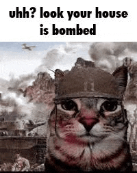 a cat wearing a helmet is standing in front of a painting of a house being bombed .