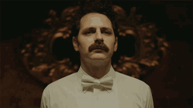 a man with a mustache is wearing a white shirt and bow tie