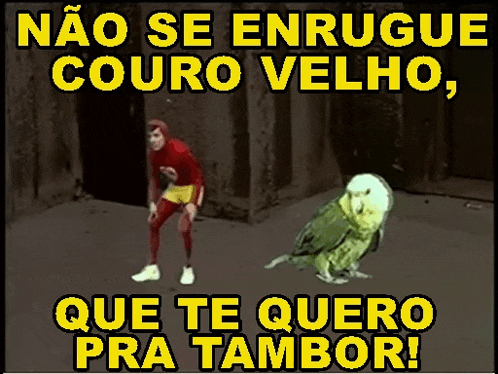 a picture of a man and a parrot with the words " que te quero pra tambor " on the bottom