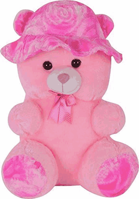 a pink teddy bear wearing a pink hat on a white background