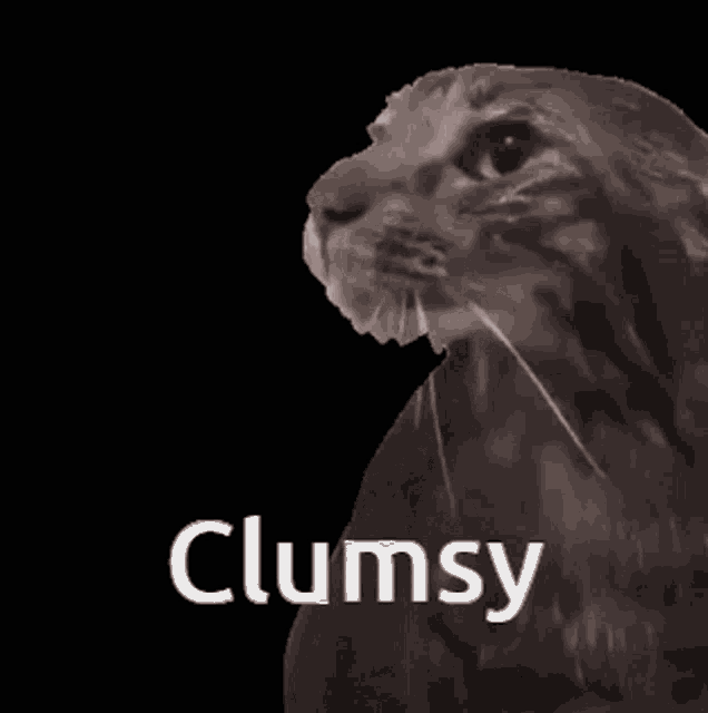 Clumsy Hafnium GIF - Clumsy Hafnium GIFs
