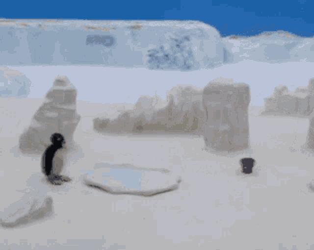 Pingu Pingu Seal GIF - Pingu Pingu Seal Robby Seal GIFs