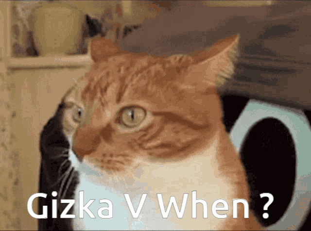 a cat with the words gizka v when on it