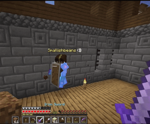 a screenshot of a minecraft game with the name smallishbeans on the wall