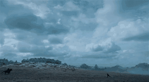 a horse and a crow are running in a field with a cloudy sky .
