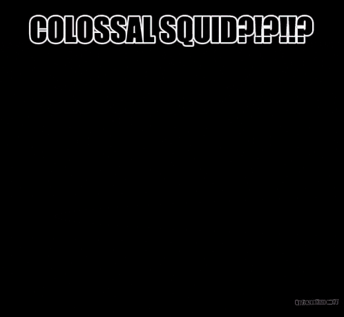 a colossal squid is being held by a scuba diver in the water