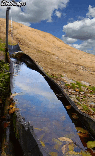 a picture of a stream with the words liveimages on the top