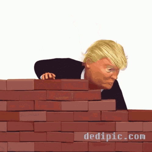 Trump Wall GIF - Trump Wall Donald GIFs