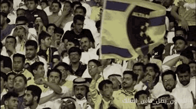 a crowd of people are sitting in a stadium watching a soccer game .