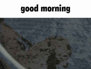 a blurred image of a person 's hand with the words " good morning " above it