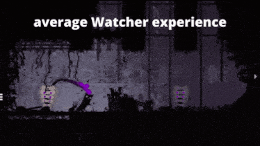 a screenshot of a video game with the words " average watcher experience "