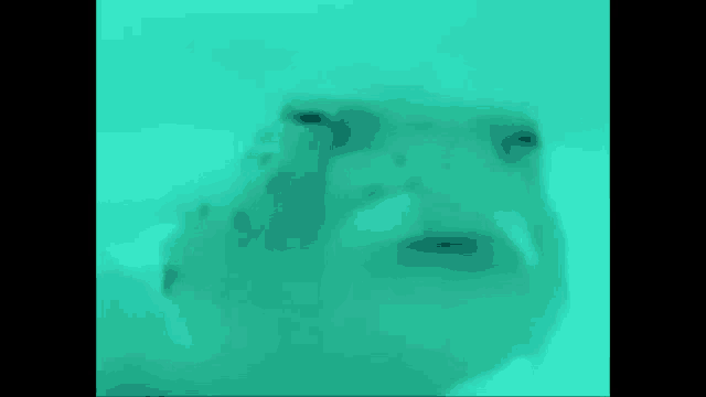 a close up of a fish swimming in the ocean .