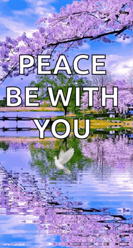 a dove is flying over a lake with purple flowers in the background and the words peace be with you