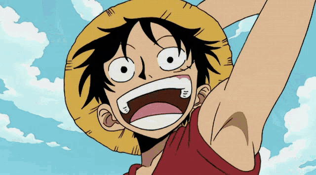 a close up of a cartoon character with a straw hat on