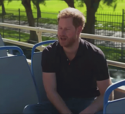 Prince Harry Duc Of Sussex GIF - Prince Harry Duc Of Sussex GIFs