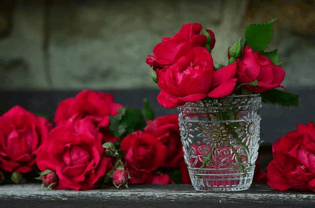 a vase filled with red roses sits on a table