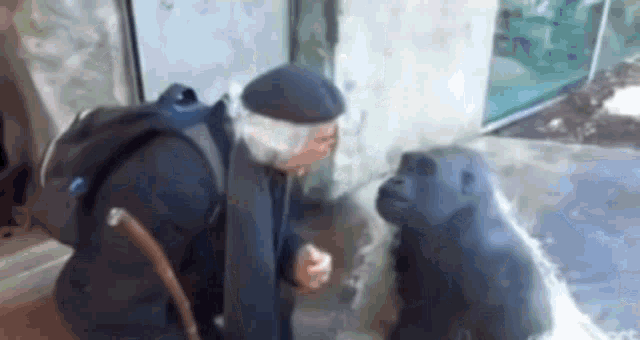 a man with a cane is standing next to a gorilla statue .